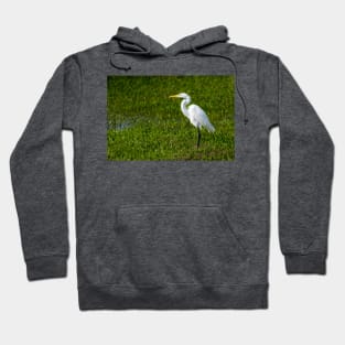 Great Egret As Still As A Statue Hoodie